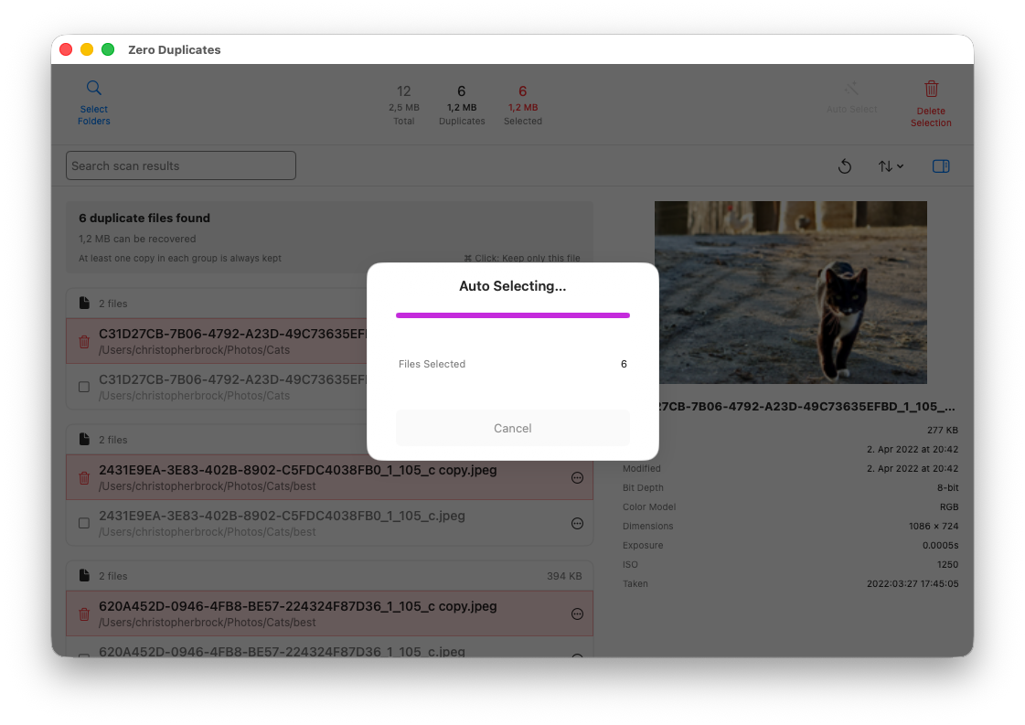 Fenêtre de progression pendant qu'Auto Select marque les fichiers en double